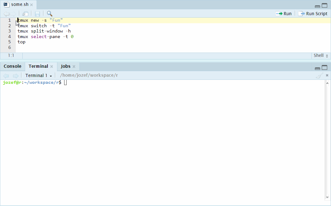 RStudio Terminal Fun